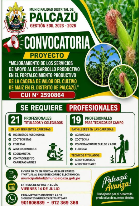MUNICIPALIDAD DISTRITAL DE PALCAZÚ LANZA CONVOCATORIA PARA PROFESIONALES Y TÉCNICOS DEL PROYECTO PRODUCTIVO DE MAÍZ.
