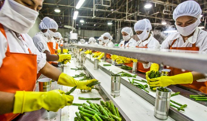 Producción Agropecuaria
